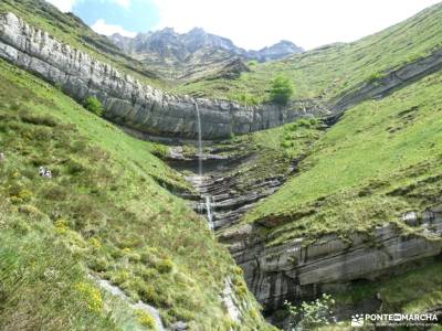 Geoparque Costa Quebrada - Valles Pasiegos;federacion de montaña castilla y leon arbol conifero acei